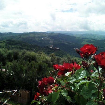 Poggio Al Vento Pensionat Castiglione dʼOrcia Exteriör bild