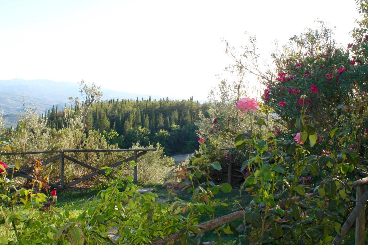 Poggio Al Vento Pensionat Castiglione dʼOrcia Exteriör bild