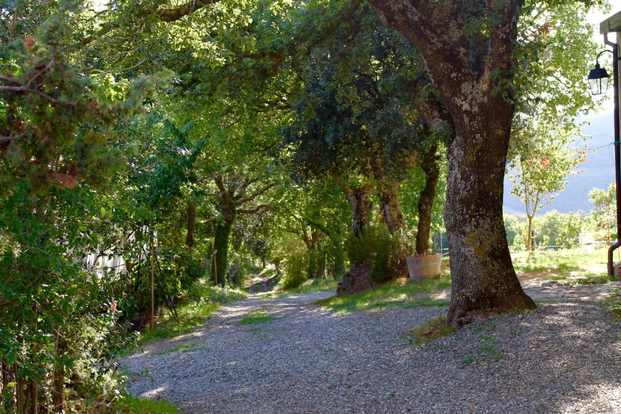 Poggio Al Vento Pensionat Castiglione dʼOrcia Exteriör bild