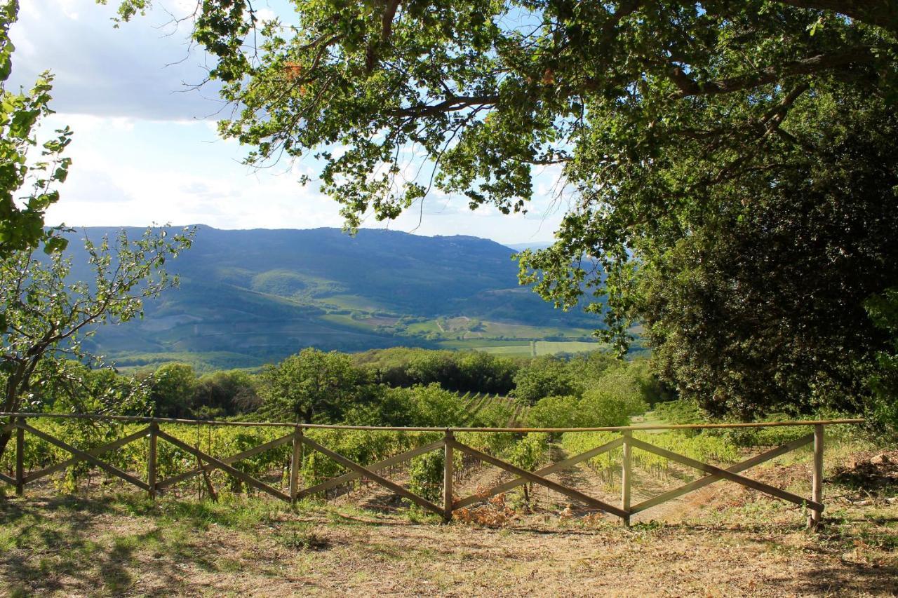 Poggio Al Vento Pensionat Castiglione dʼOrcia Exteriör bild