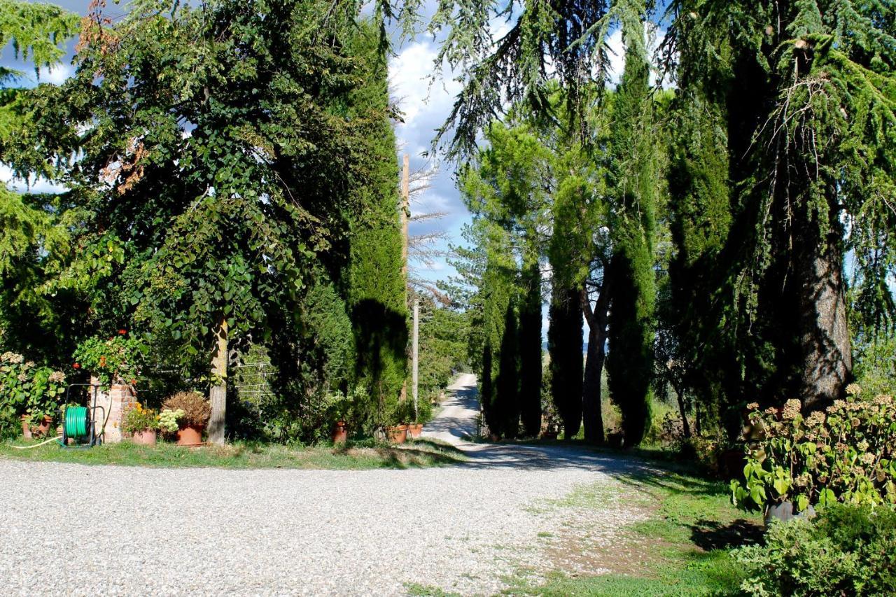 Poggio Al Vento Pensionat Castiglione dʼOrcia Exteriör bild