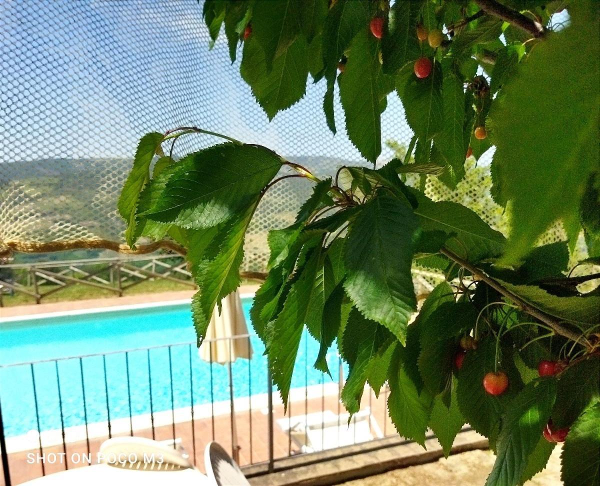 Poggio Al Vento Pensionat Castiglione dʼOrcia Exteriör bild