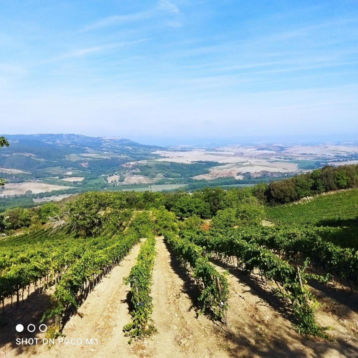 Poggio Al Vento Pensionat Castiglione dʼOrcia Exteriör bild