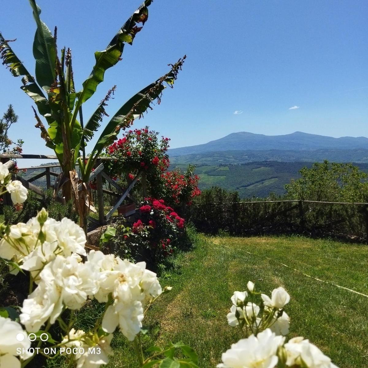 Poggio Al Vento Pensionat Castiglione dʼOrcia Exteriör bild