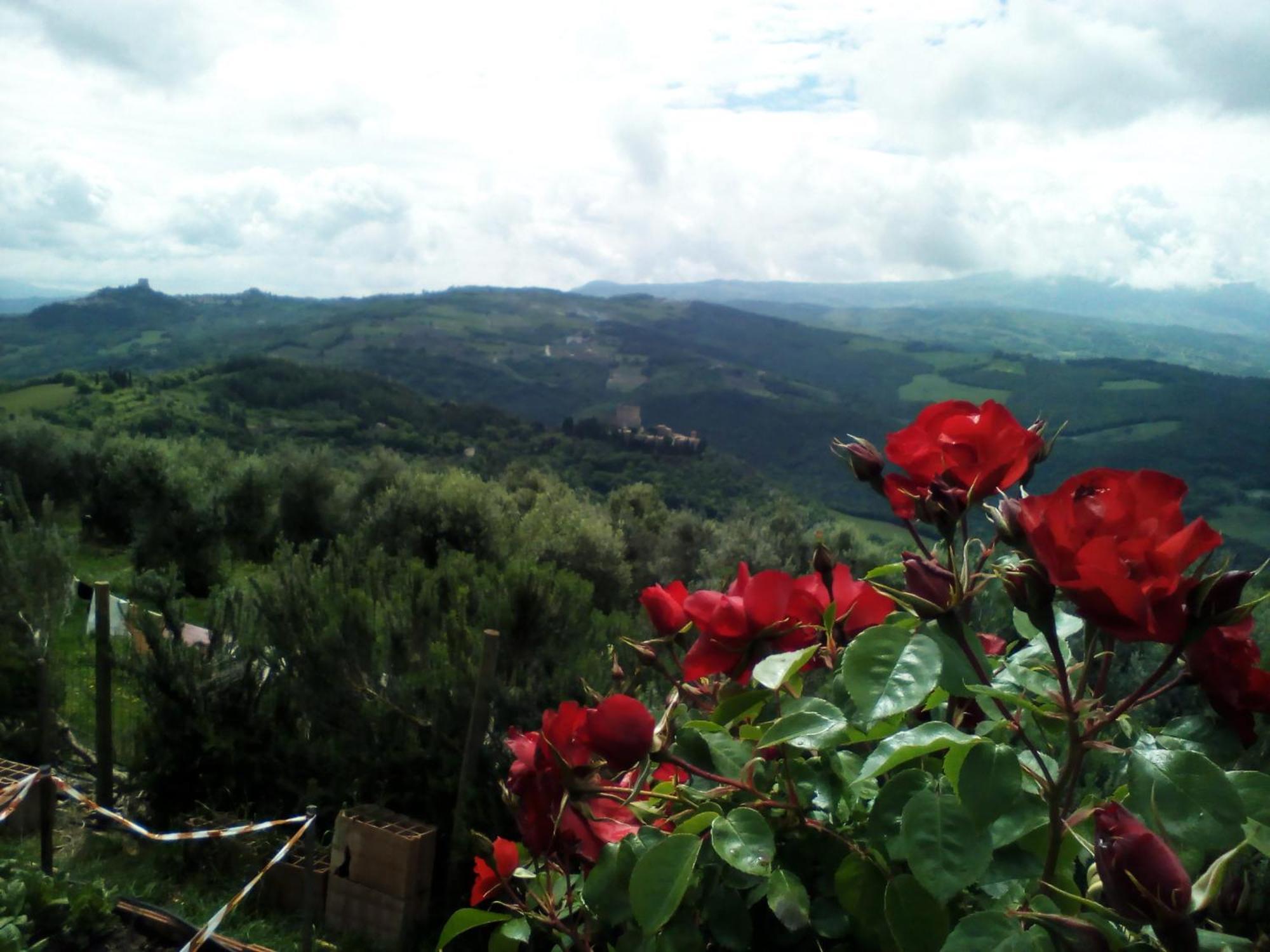 Poggio Al Vento Pensionat Castiglione dʼOrcia Exteriör bild