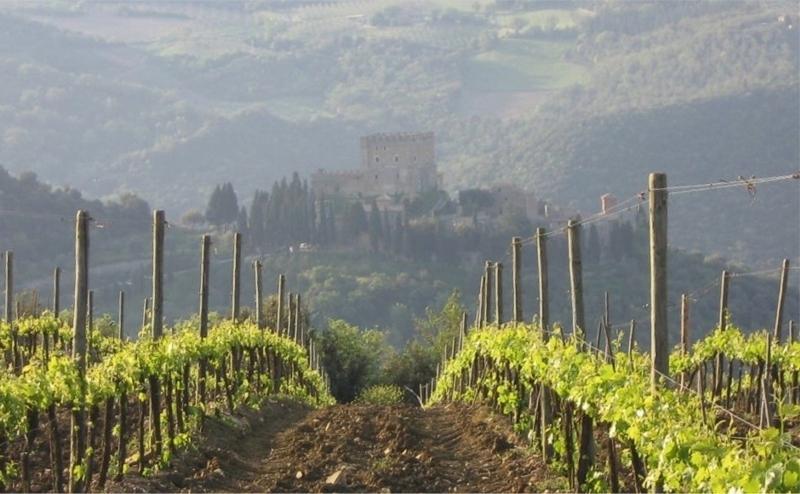 Poggio Al Vento Pensionat Castiglione dʼOrcia Exteriör bild