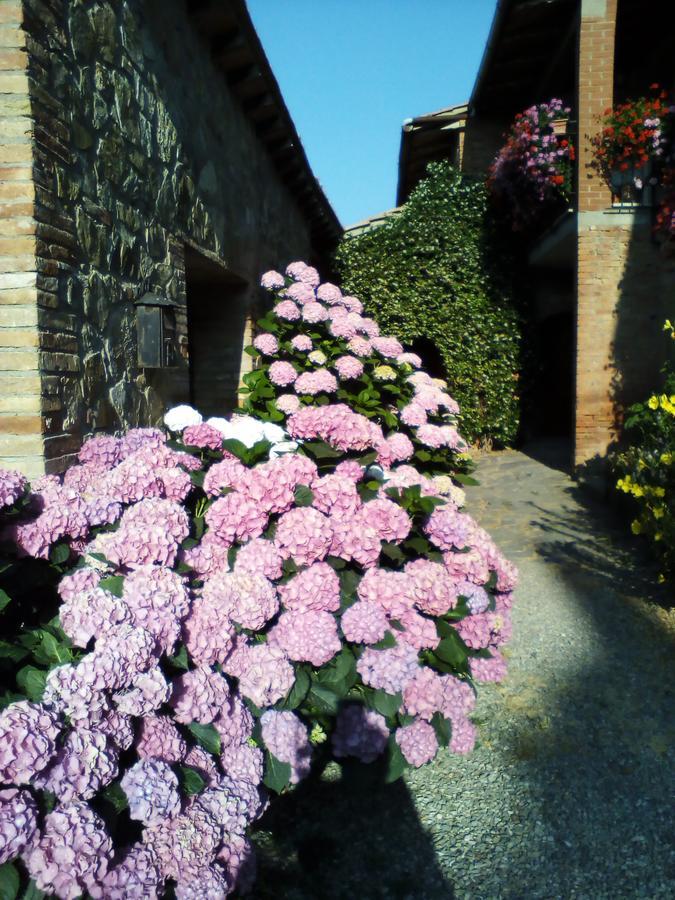 Poggio Al Vento Pensionat Castiglione dʼOrcia Exteriör bild