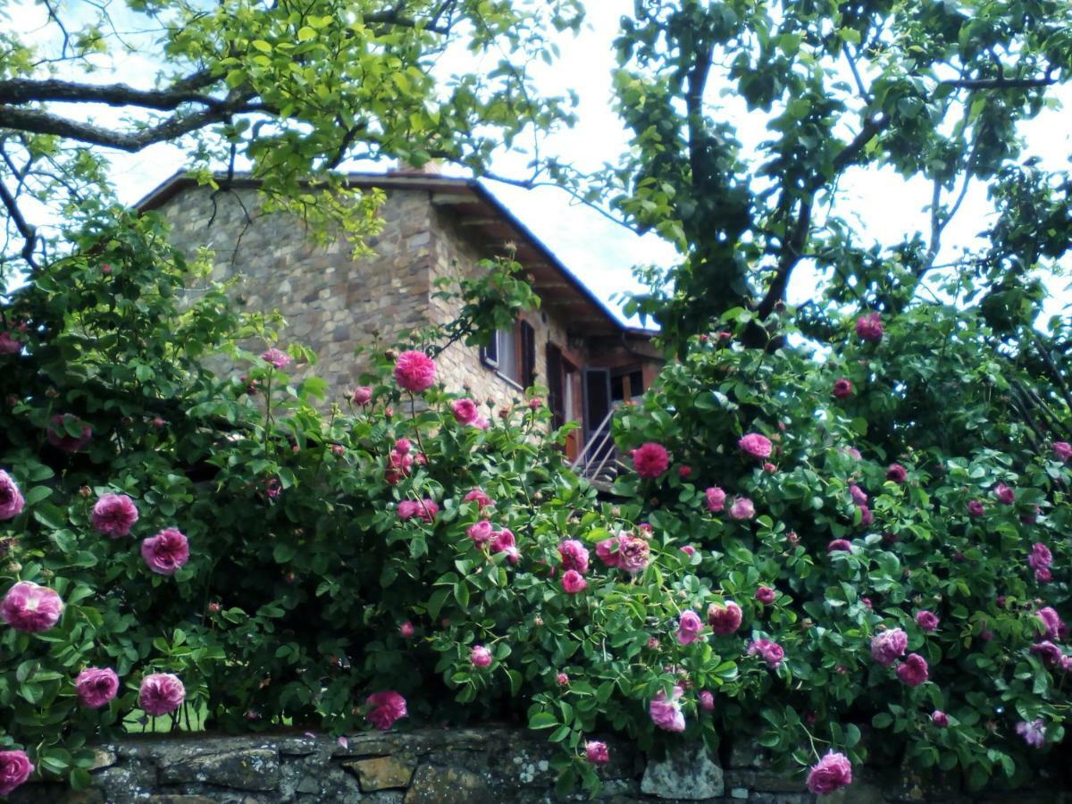 Poggio Al Vento Pensionat Castiglione dʼOrcia Exteriör bild